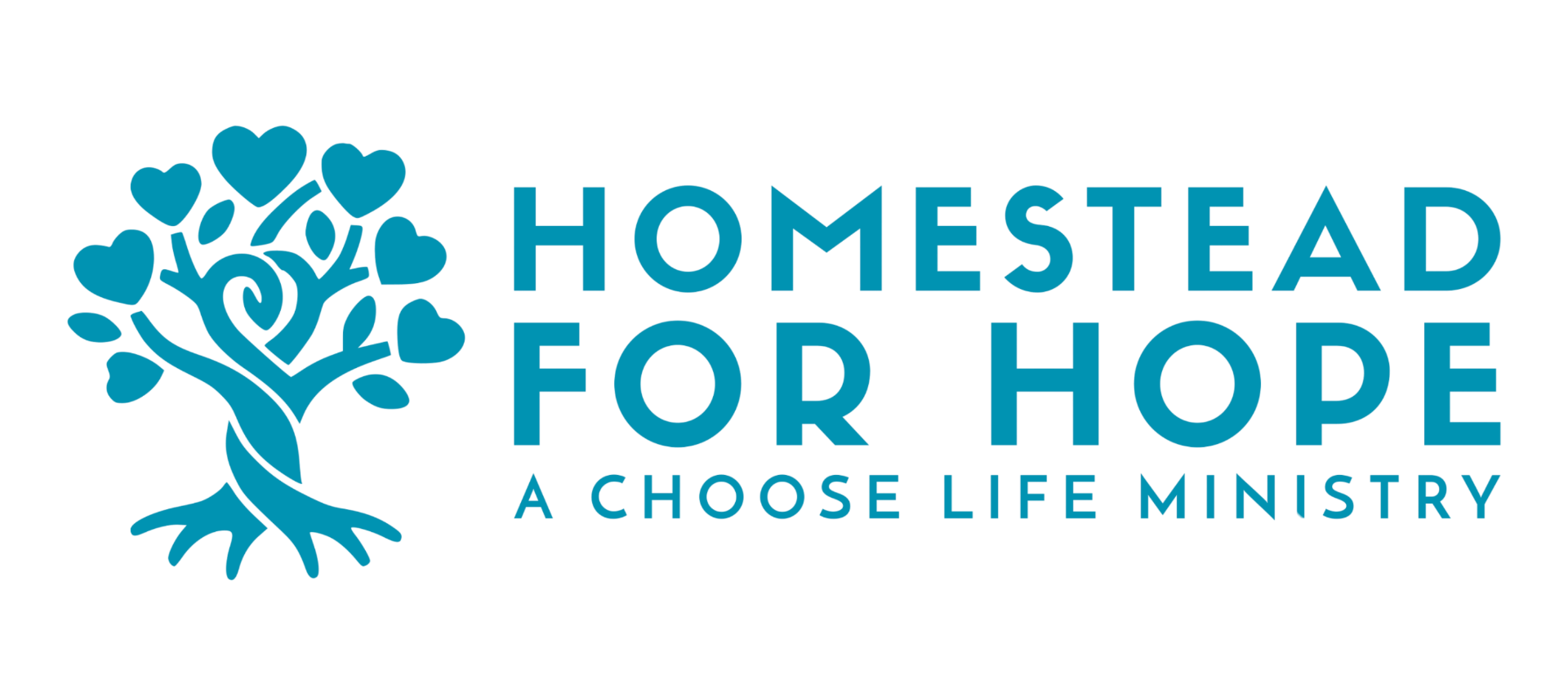 Homestead for Hope
